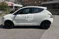 Lancia Ypsilon Ypsilon 1.2 69 CV 5 porte GPL Ecochic Elefantino Bianco - thumbnail 8