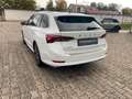 Skoda Octavia Combi 2.0 TDI First Edition AHK STHZ Weiß - thumbnail 3