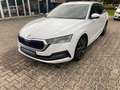 Skoda Octavia Combi 2.0 TDI First Edition AHK STHZ Weiß - thumbnail 1