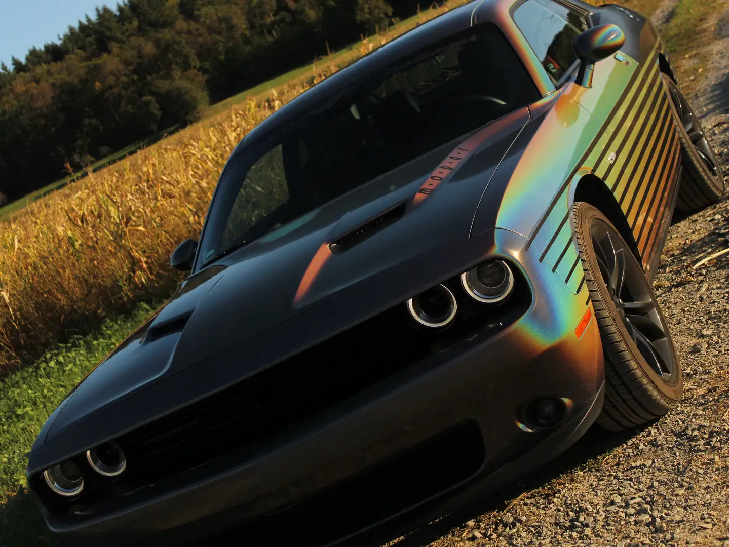 Dodge Challenger Challenger Automatik SXT Plus Argent - 1