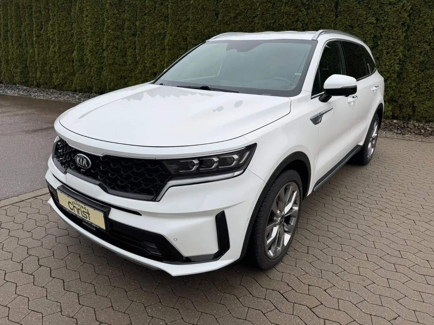 Kia Sorento 2.2 CRDi AWD Platinum DCT8 *Head-Up*AHK* Alb - 2