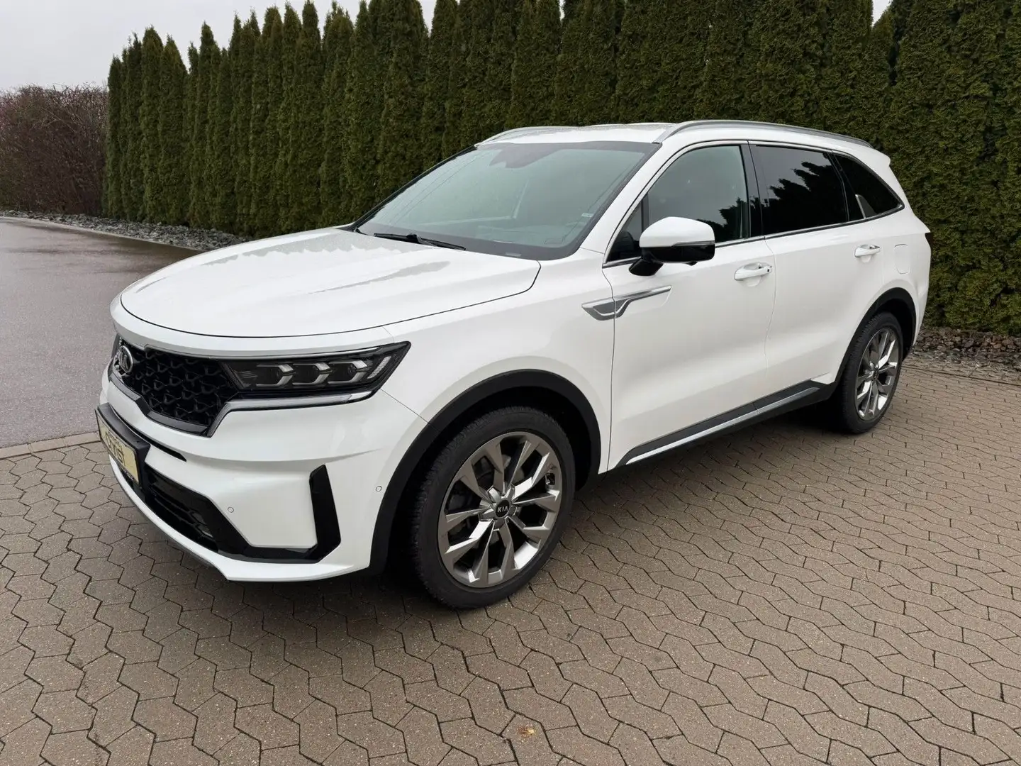 Kia Sorento 2.2 CRDi AWD Platinum DCT8 *Head-Up*AHK* Alb - 1