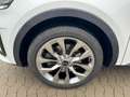 Kia Sorento 2.2 CRDi AWD Platinum DCT8 *Head-Up*AHK* Alb - thumbnail 8