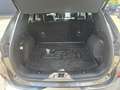 Ford Kuga 2.0 EcoBlue Automatik Titanium X *AHK*Winter* Сірий - thumbnail 15