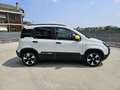 Fiat Panda 1.0 FireFly S&S Hybrid Pandina Bianco - thumbnail 4