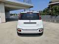 Fiat Panda 1.0 FireFly S&S Hybrid Pandina Bianco - thumbnail 6