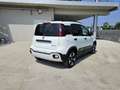 Fiat Panda 1.0 FireFly S&S Hybrid Pandina Bianco - thumbnail 5