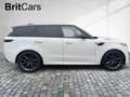 Land Rover Range Rover Sport D300 Dyn.SE *ACC*5-Jahre Gar. Weiß - thumbnail 5