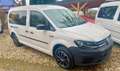 Volkswagen Caddy Maxi (California) Camper NEU ! Sthzg.+WC Weiß - thumbnail 5