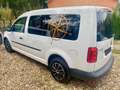 Volkswagen Caddy Maxi (California) Camper NEU ! Sthzg.+WC Weiß - thumbnail 7