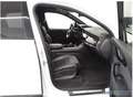 Audi Q7 50 TDI S Line Navi AHK Leder Pano Kamera B&O Weiß - thumbnail 8