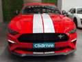 Ford Mustang Fastback 2.3 EcoBoost Rojo - thumbnail 4
