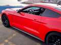 Ford Mustang Fastback 2.3 EcoBoost Rojo - thumbnail 8
