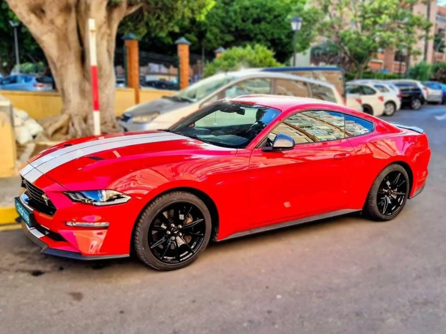 Ford Mustang Fastback 2.3 EcoBoost Rojo - 2