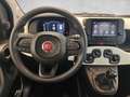Fiat Panda Pandina Cross Look MHEV 70 Bleu - thumbnail 14