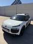 Citroen C4 Cactus 1.6 BlueHDi S&S Business 100 - thumbnail 1