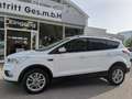Ford Kuga Titanium Weiß - thumbnail 2