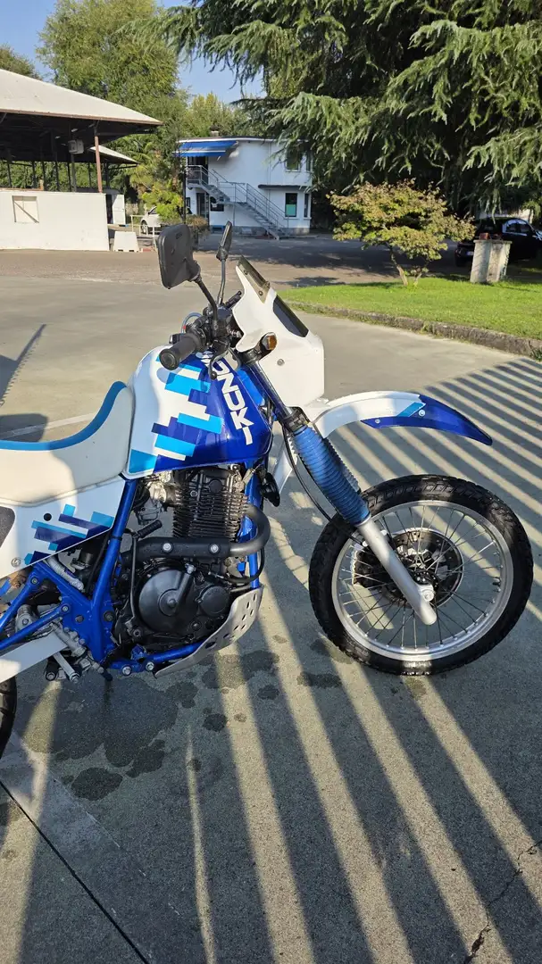 Suzuki DR 650 Blauw - 2