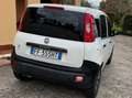 Fiat New Panda VAN Blanc - thumbnail 3