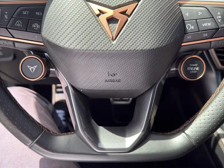 Cupra 2025, foto 30
