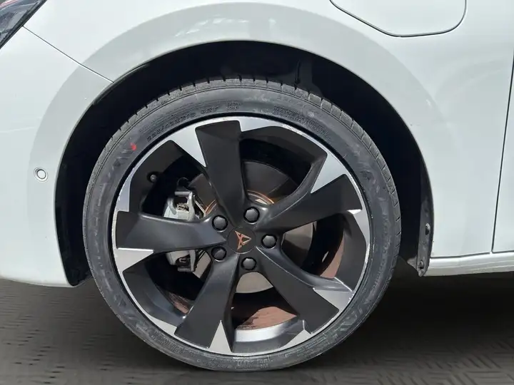 Cupra 2025, foto 7