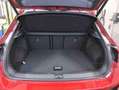 Volkswagen T-Roc 1.5 TSI DSG R-Line Navi LED SHZ PDC Rot - thumbnail 8