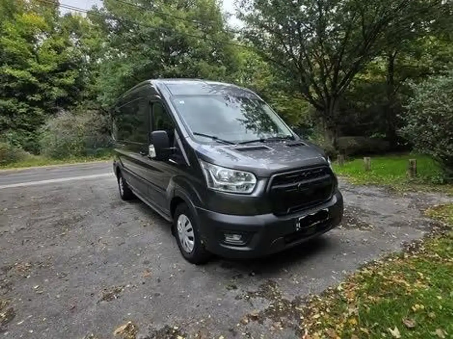 Ford Transit Transit 350 L2 VA Trail Gris - 1
