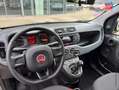 Fiat Panda 1.2 8v 69ch S/S Easy 2019 Euro6D Gris - thumbnail 15