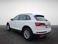 Audi Q5 40 TDI S tronic quattro NaviPlus LED AHK GRA SH... Biały - thumbnail 4