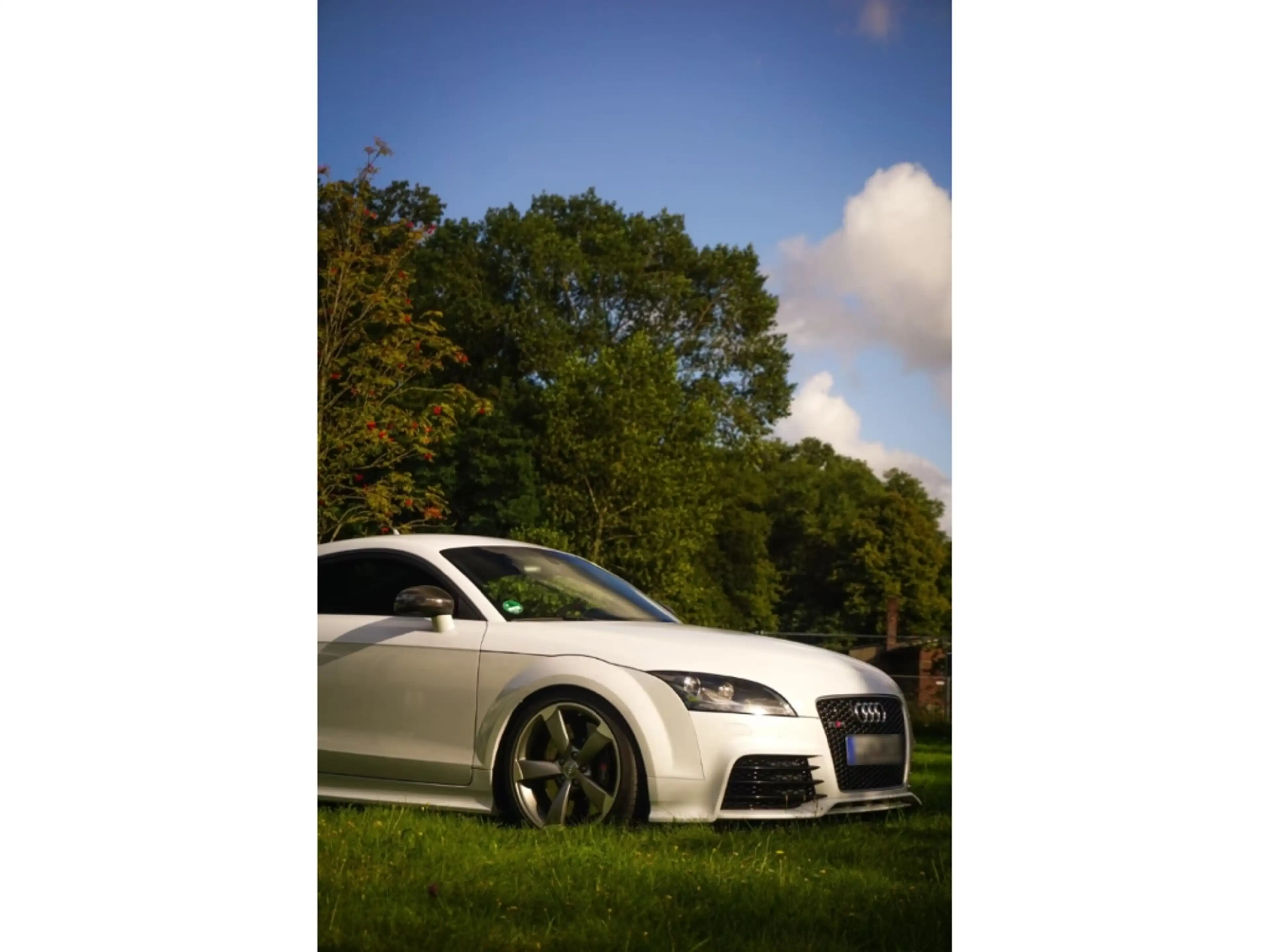 Audi TT RS Plus Coupe 2.5 TFSI quattro KOMMISSIONSFAHRZEUG PR — photo 6