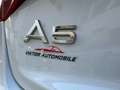 Audi A5 2.0 TFSI XENON SCHALTGETRIEBE ORIGINAL 67251 KM Weiß - thumbnail 9