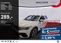 Volkswagen Tiguan R 2.0 TSI Sonderleasing Cargo DCC Matrix Lenkh Weiß - thumbnail 1