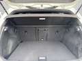 Volkswagen Golf R R 2.0 TSI DSG 4MOTION IQ.LIGHT BLACK STYL Blanc - thumbnail 15