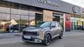 Kia Seltos 1,6 TGDI 180 2WD Silber Aut. Braun - thumbnail 1