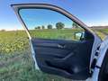 Skoda Fabia Combi 1.0 TSI Style 110 PS Weiß - thumbnail 11