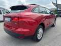 Jaguar F-Pace 2.0d i4 Pure 163cv my18 Tetto Pano - FP333BW Rosso - thumbnail 4