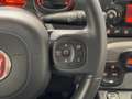 Fiat Panda 1.0 FireFly S&S Hybrid Grigio - thumbnail 20