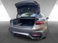 Maserati GranTurismo TROFEO MY24 550PS CARBON - MATT - VOLL Gris - thumbnail 12