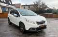 Peugeot 2008 generation-i 1.6 e-hdi 115 ch feline titane entretien Weiß - thumbnail 3