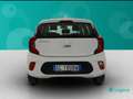Kia Picanto 1.0 DPi GPL Style Comfort Pack Bianco - thumbnail 4