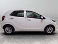 Kia Picanto 1.0 DPi GPL Style Comfort Pack Blanc - thumbnail 6