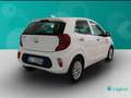 Kia Picanto 1.0 DPi GPL Style Comfort Pack Bianco - thumbnail 5