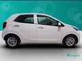 Kia Picanto 1.0 DPi GPL Style Comfort Pack Bianco - thumbnail 6
