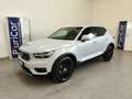 Volvo XC40 B5 MHEV 250 CV AWD Geartronic Inscription Pelle 19 Argento - thumbnail 1
