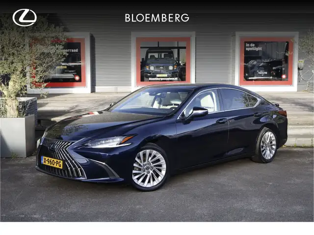 Lexus ES 300 300h President Line | Mark Levinson | HUD | LED ko