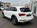 Audi Q5 2.0 tdi Quattro 170cv S-tronic TETTO/SEDILI RISC Wit - thumbnail 4