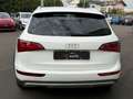 Audi Q5 2.0 tdi Quattro 170cv S-tronic TETTO/SEDILI RISC Wit - thumbnail 5