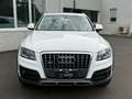 Audi Q5 2.0 tdi Quattro 170cv S-tronic TETTO/SEDILI RISC Wit - thumbnail 2