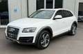 Audi Q5 2.0 tdi Quattro 170cv S-tronic TETTO/SEDILI RISC Wit - thumbnail 1