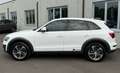 Audi Q5 2.0 tdi Quattro 170cv S-tronic TETTO/SEDILI RISC Wit - thumbnail 3